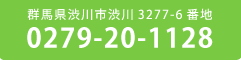 群馬県渋川市渋川 3277-6 番地 0279-20-1128